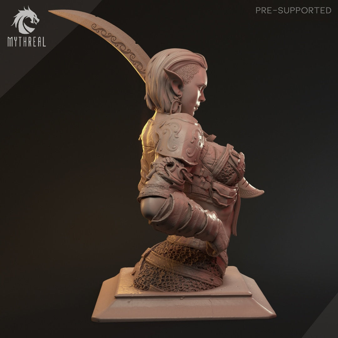 Hanza Bust | by Hardwitch Games