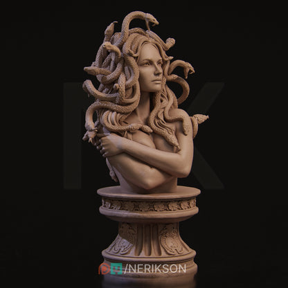 Medusa Bust | by Nerikson