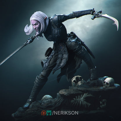 Lierin the Dark Elf Fighter | by Nerikson