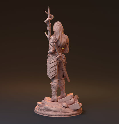 Shainor-Ta-Lay | by Hardwitch Games